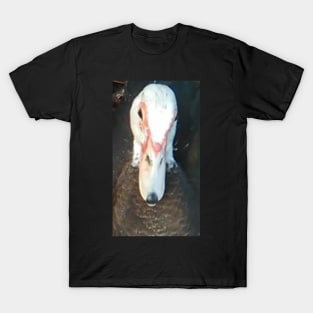 Duck T-Shirt